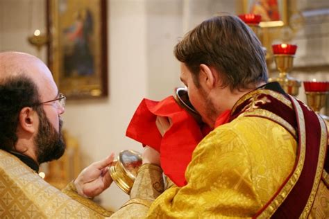 Мнения священников о жареной картошке перед причастием