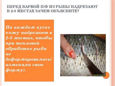 Мнения специалистов о необходимости удаления глаз у рыбы перед варкой
