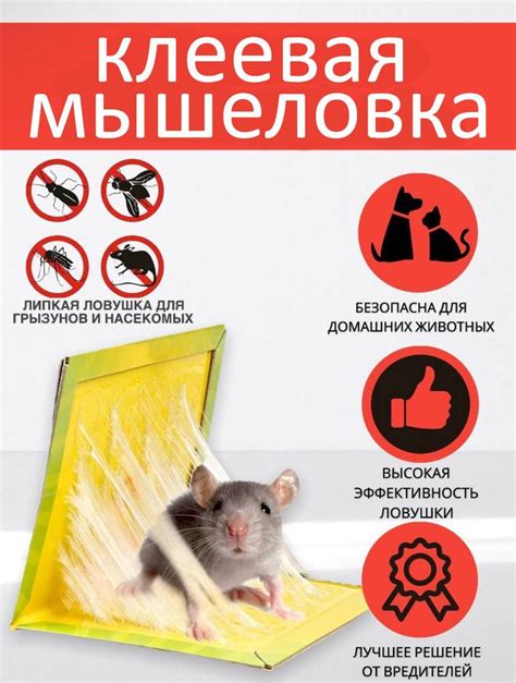 Мышеловки с клеевой ловушкой