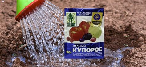 Насколько безопасно есть ягоды обработанные медным купоросом