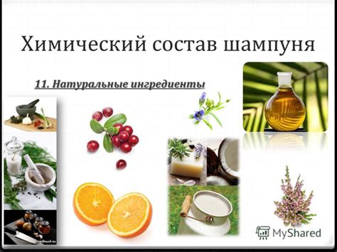 Натуральные ингредиенты в составе шампуня