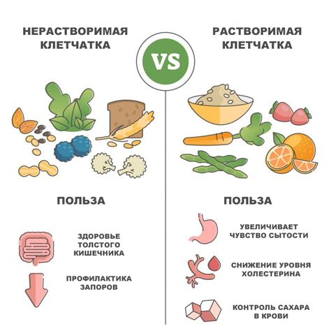 Натуральный и доступный источник клетчатки