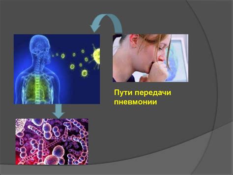 Научные исследования о влиянии собачьего жира на процесс выздоровления при пневмонии