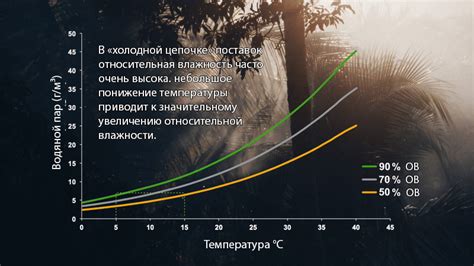 Негативное воздействие влажности на игрушки и причины возникновения