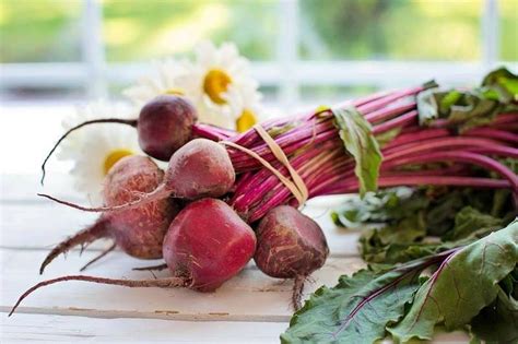 Недостатки вакуумного хранения свеклы