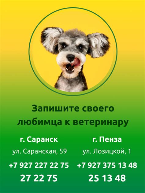Недостатки кастрации кобеля