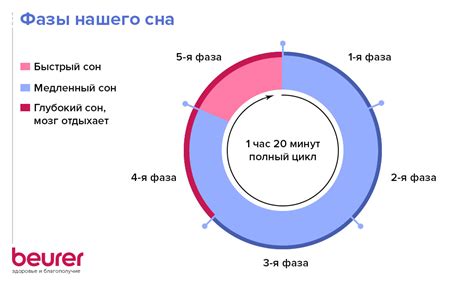 Нормальные процессы сна