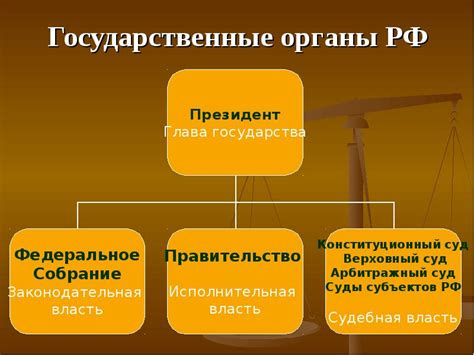 Обзор СНТ как организации с особым статусом