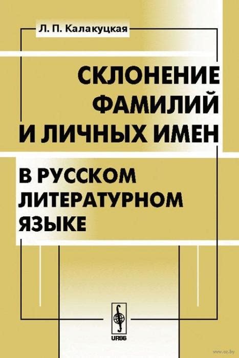 Общая информация о склонении мужских фамилий на ых