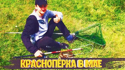 Общие правила и особенности ловли на вершу в Белоруссии