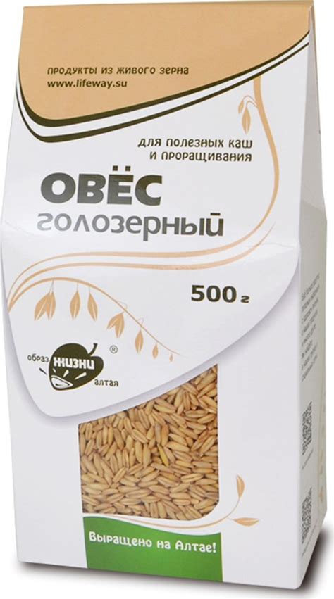 Овес: преимущества и полезные свойства