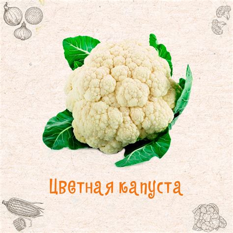 Ограничьте количество употребляемой цветной капусты
