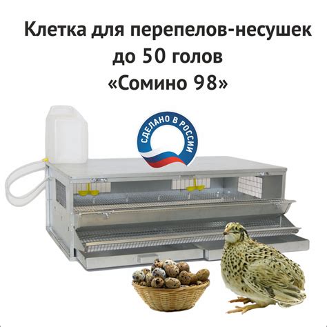 Опасности для несушек