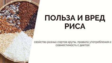 Опасности употребления просроченного риса