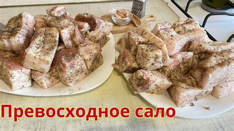 Опыт отправки соленого сала по почте