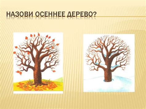 Особенности кормления свеклой в разное время года