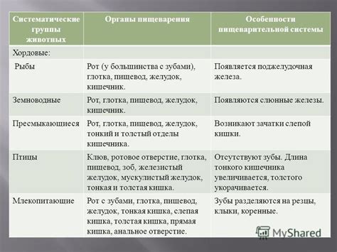 Особенности пищеварения креветок и молока