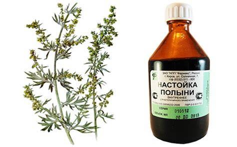 Особенности применения полыни при повышенной кислотности желудка