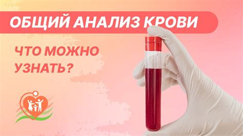 Особенности процесса сдачи крови в субботу