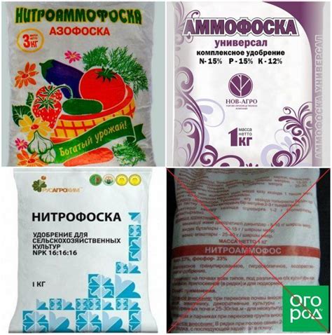 Особенности сочетания нитроаммофоски и золы