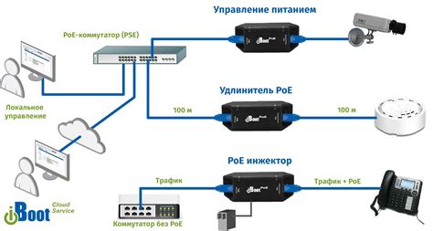 Особые требования для сбора отростков с кладбища