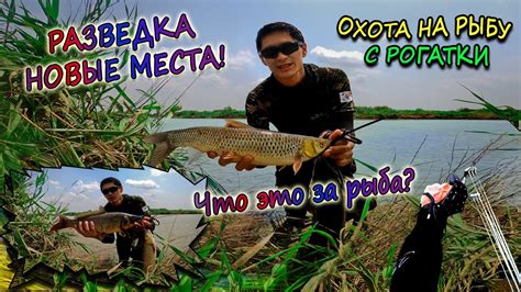 Охота с рогаткой: возможности и ограничения