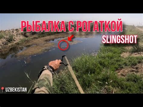 Охота с рогаткой: исторический обзор