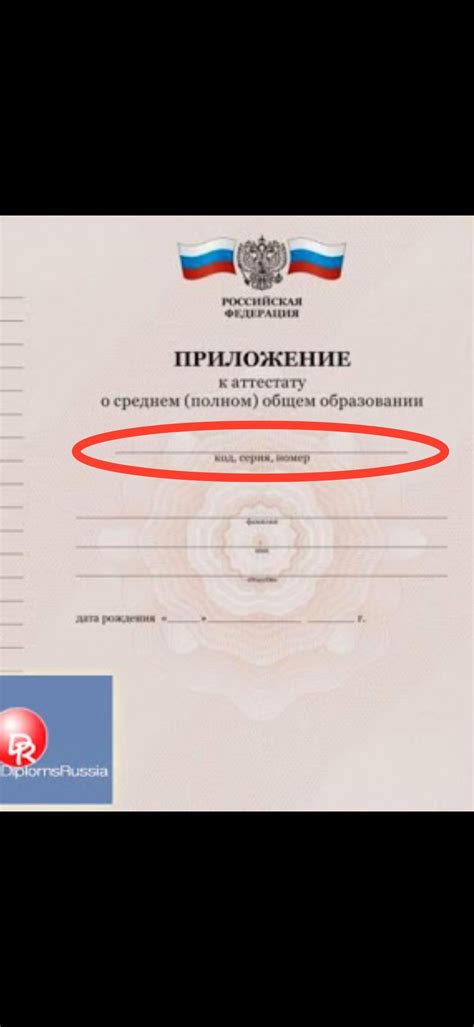 Первоначальная проверка аттестата