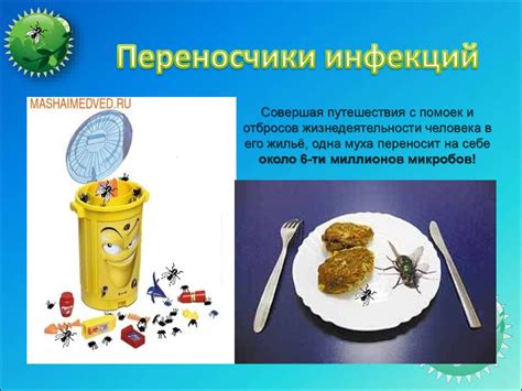 Переносимые заболевания