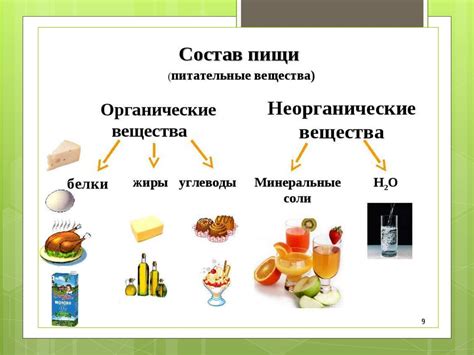 Питательные вещества, содержащиеся в холодце