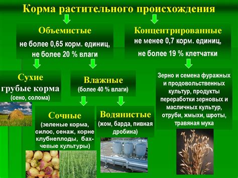 Питательные составляющие финишного корма