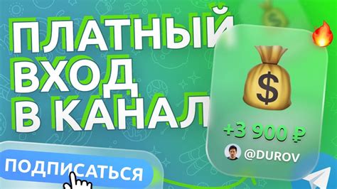 Платный вход в ресторан: основные точки