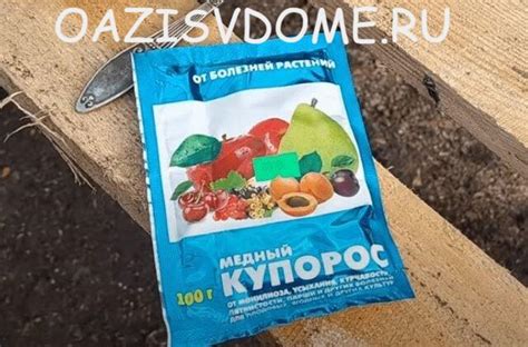 Плюсы и минусы обработки ягод медным купоросом