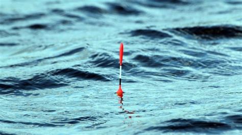 Плюсы и минусы хранения рыболовной лески на морозе