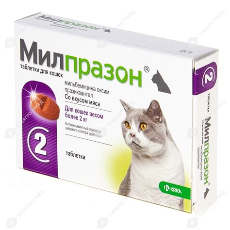 Побочные эффекты от применения Циклоферона для колотья в холку кота