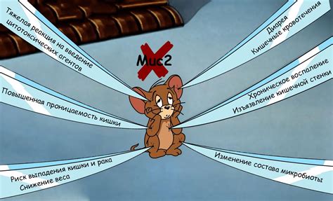 Поведение и привычки черных мышей