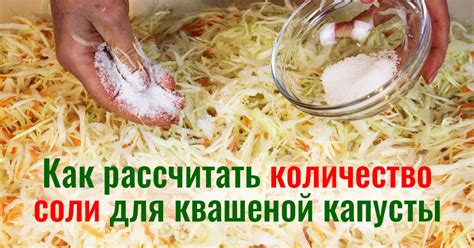 Повторное использование соли при холодной засолке