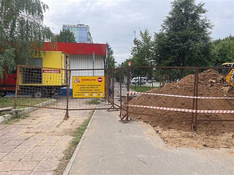 Подготовка питбуля к зимнему содержанию на улице