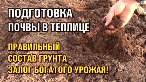 Подготовка почвы: правильный состав грунта