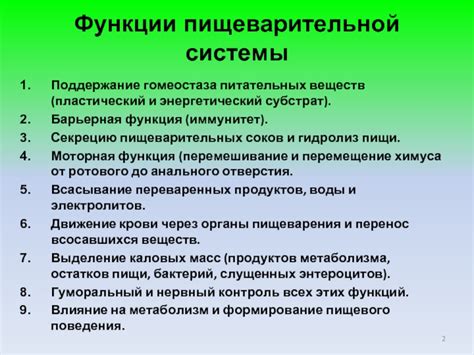 Поддержание питательных веществ