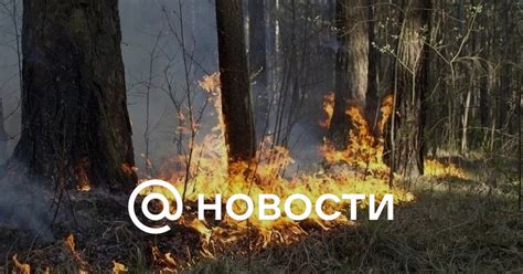 Пожароопасность