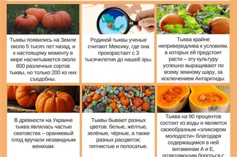 Полезность размороженной тыквы для здоровья: факты и мифы