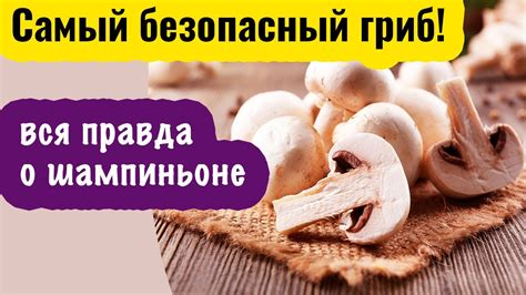Полезные свойства шампиньонов для ЖКТ