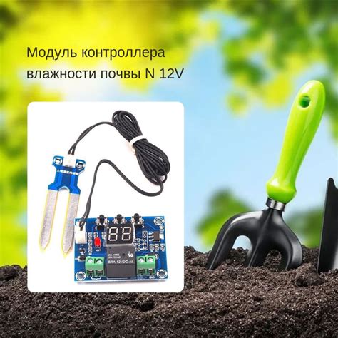 Полив и уровень влажности почвы