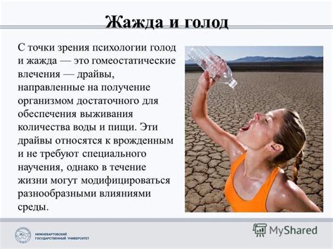 Получение пищи и воды