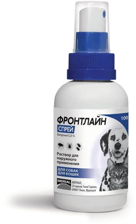 Полынь от блох у собак: лучшие советы и рекомендации