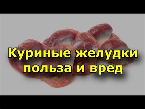 Польза и вред куриных желудков и сердечек для шпица