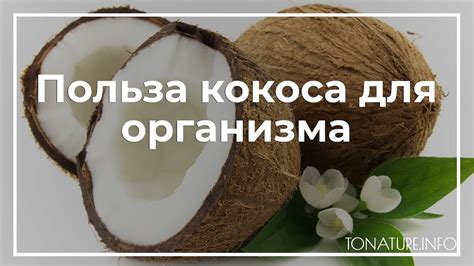 Польза кокоса с плесенью внутри для организма человека