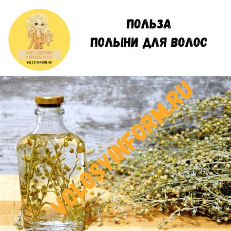 Польза полыни для повышенной кислотности желудка