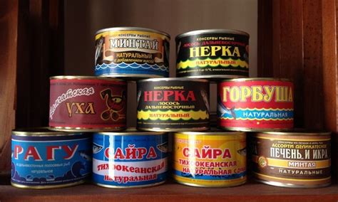 Польза собачьей консервы
